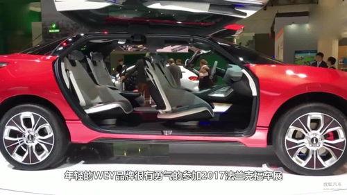 国产车上泥地视频,国产车勇闯极限，性能与稳定性全面展示