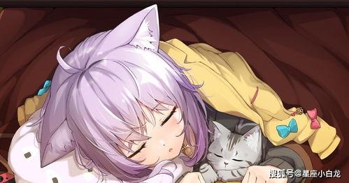 国产动漫转身回头视频在线观看,国产动漫的青春回忆之旅