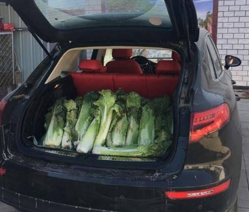 国外小伙买国产车视频,惊艳外观与卓越性能，国产汽车魅力四溢