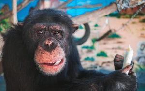 国产呻吟刺激在线视频,呻吟刺激背后的真实故事