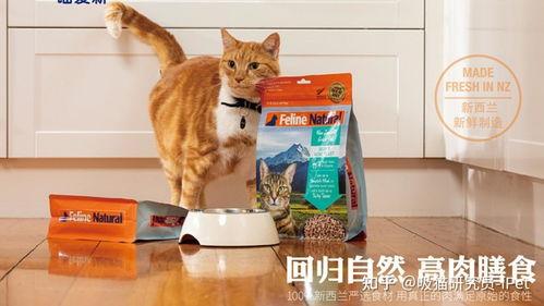 国产k9猫粮评测视频,品质与性价比的完美结合