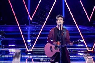 综艺节目国产吉他视频在线观看,国产吉他综艺节目精彩瞬间回顾